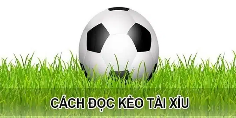 Hướng dẫn chơi cá độ bóng đá tài xỉu tại 789Bet